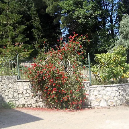 Evgenia Lefkada Apartment *
